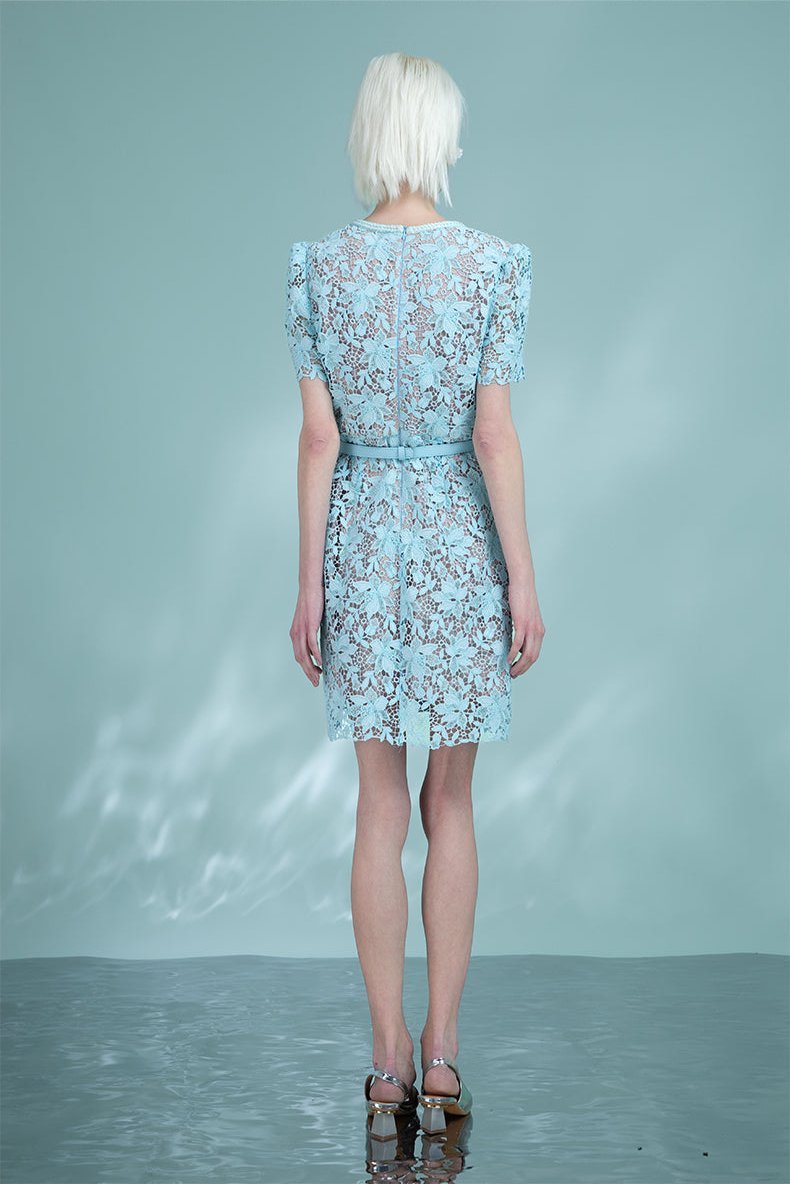 Spring New Short Sleeve Lace French Dresses