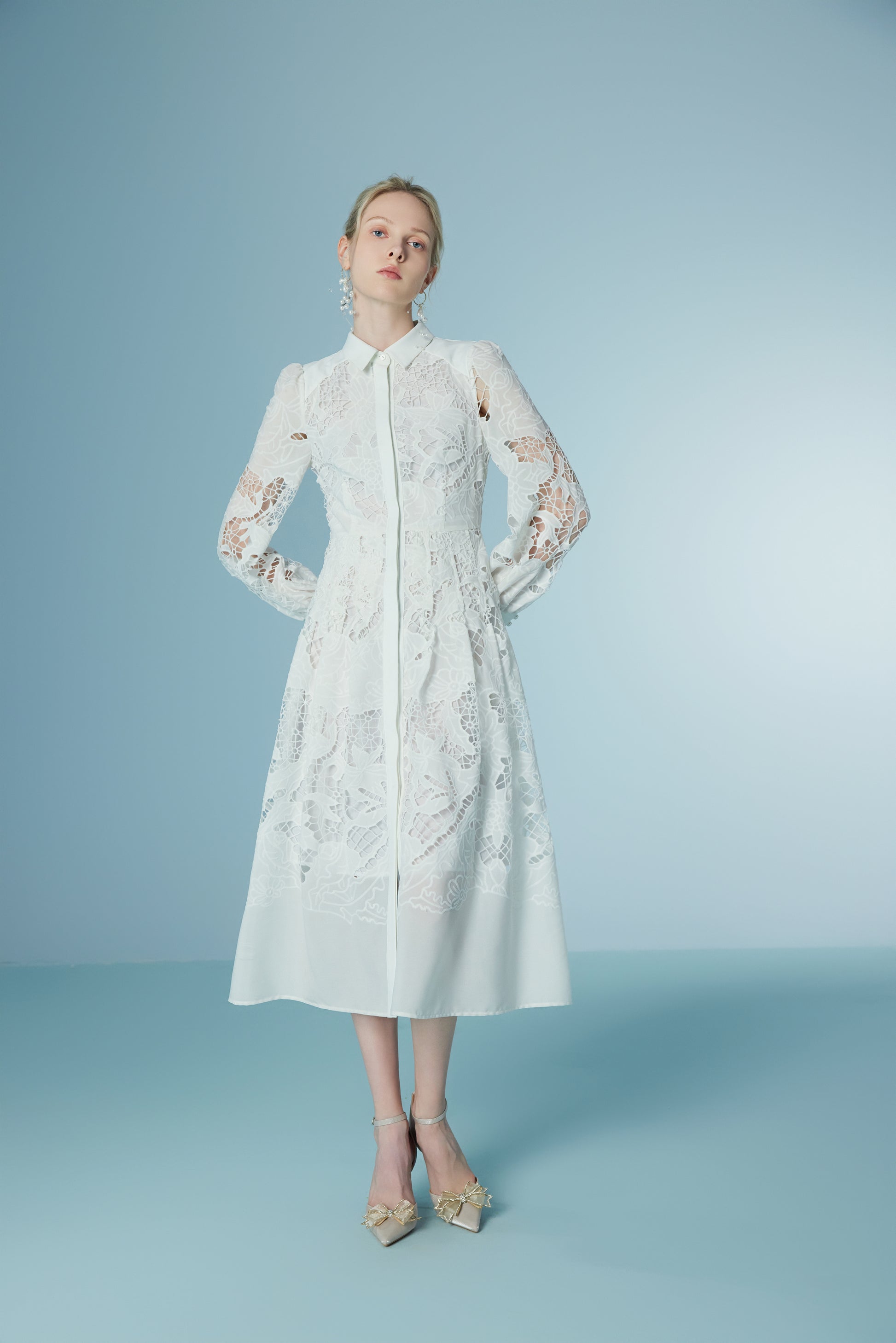 Wispy Long Sleeve Lace Floral Long Primrose Dress