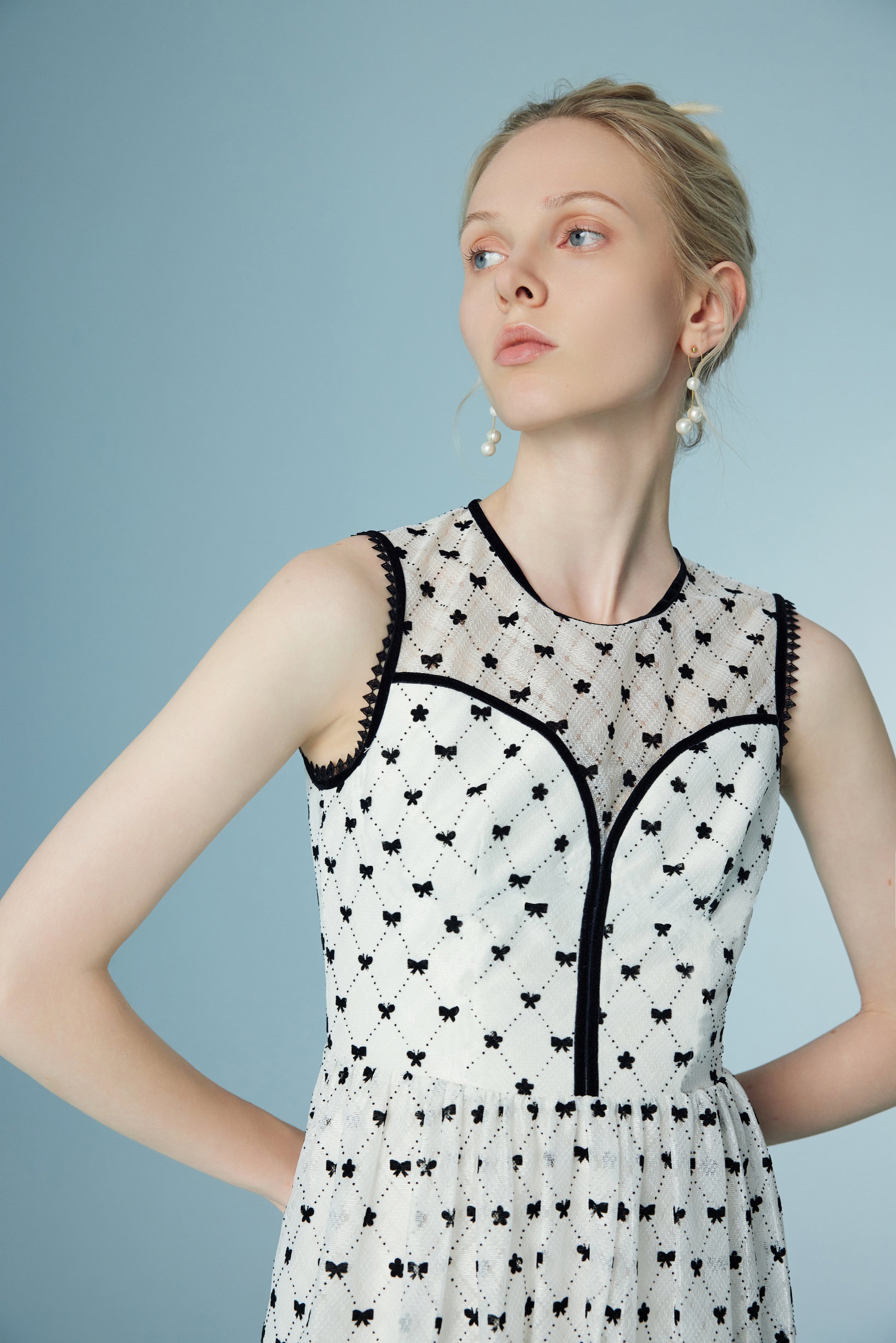 Sleeveless Polka Dot Lace Mesh Dress